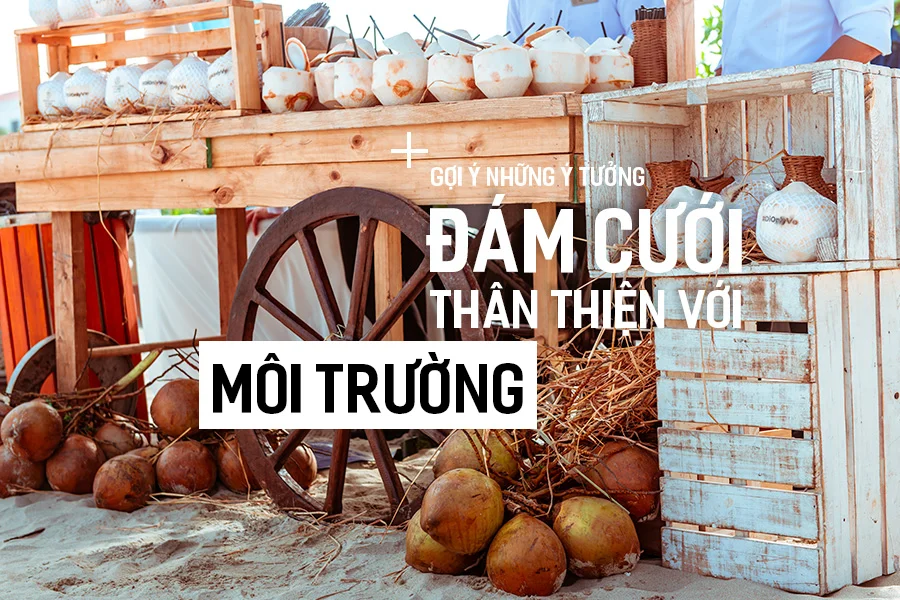 Trang Trí Đám Cưới Thân Thiện Môi Trường 