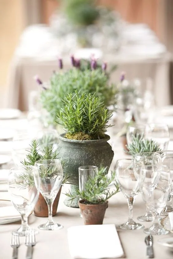 ý tưởng trang trí đám cưới thân thiện với môi trường